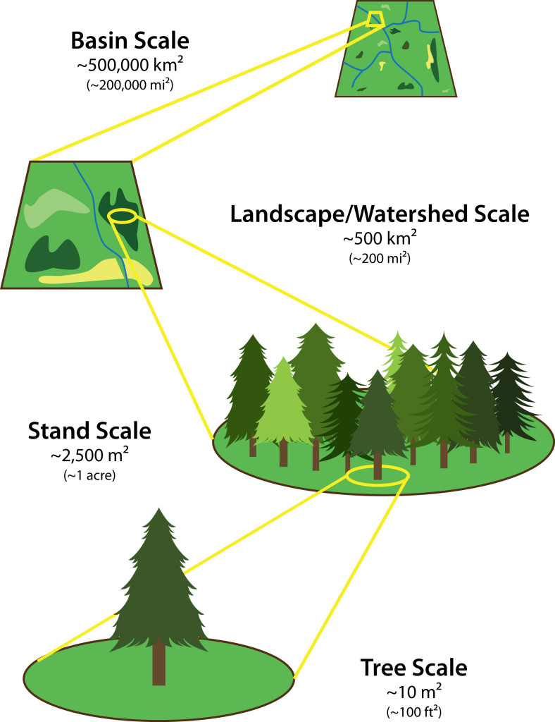 Hydrology research is conducted at a number of scales. Findings at one scale do not necessarily hold true at larger or smaller scales.