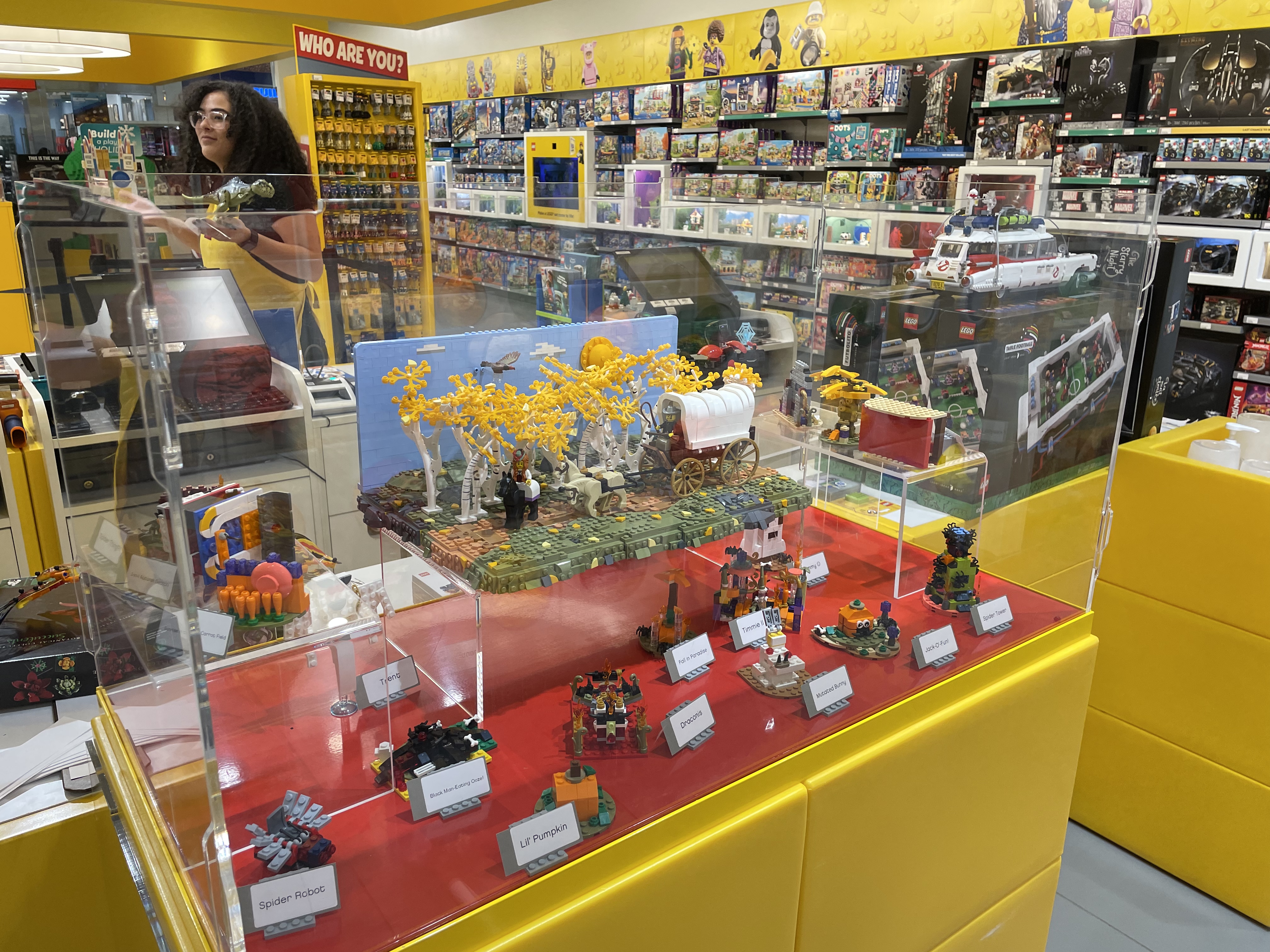 wester-lego-store.jpg